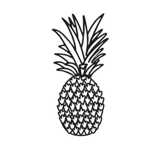 #379 Darice Embossing Folder Essentials PINEAPPLE  # 30041334