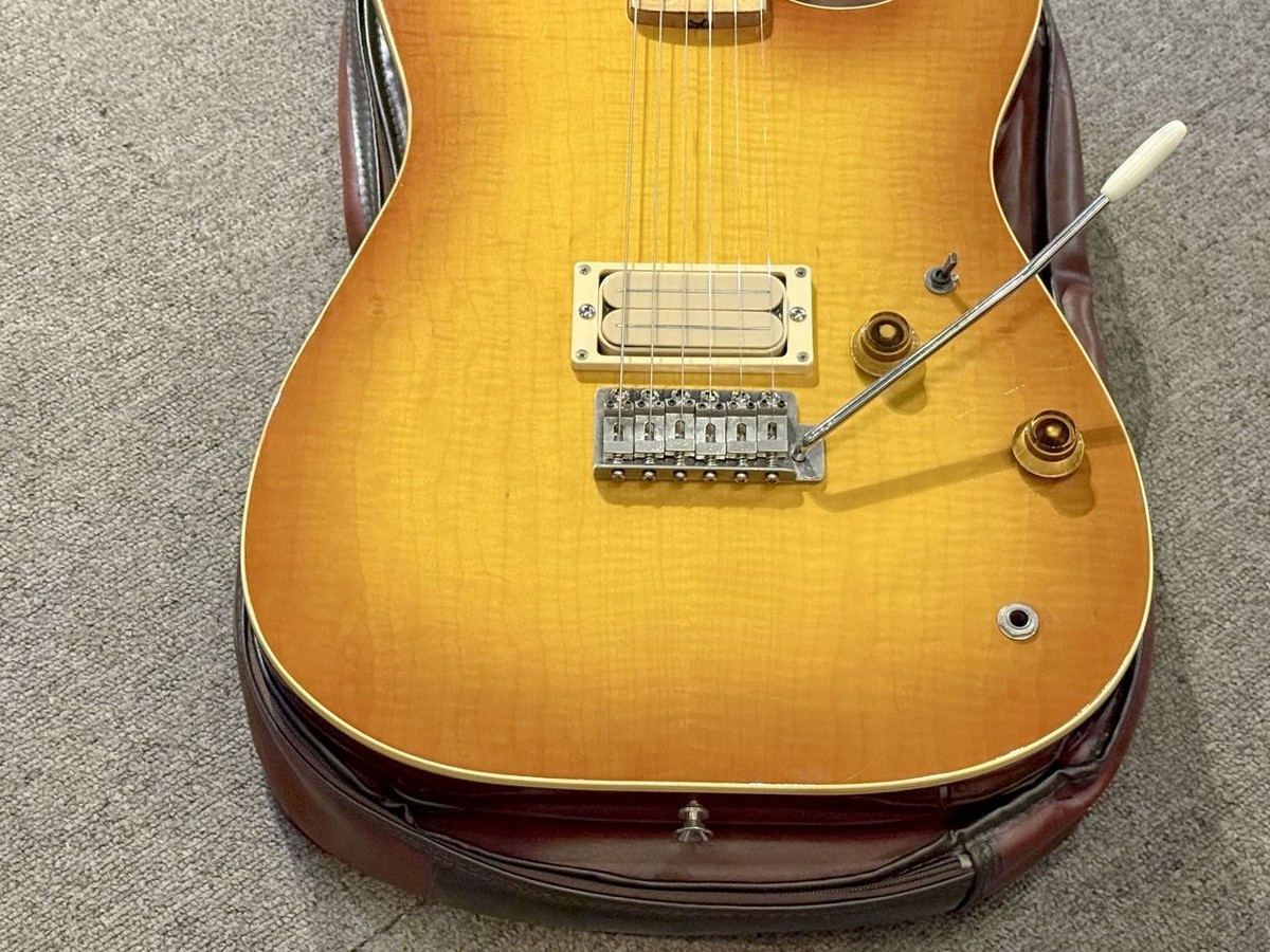 トーカイ スプリンギーサウンドToKai Springy Sound VS-60 Tokai VS-60 Springy Sound 1981 (no2508/06) | eBay
