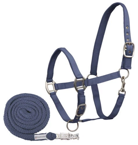 Pferde-Halfter in Blau