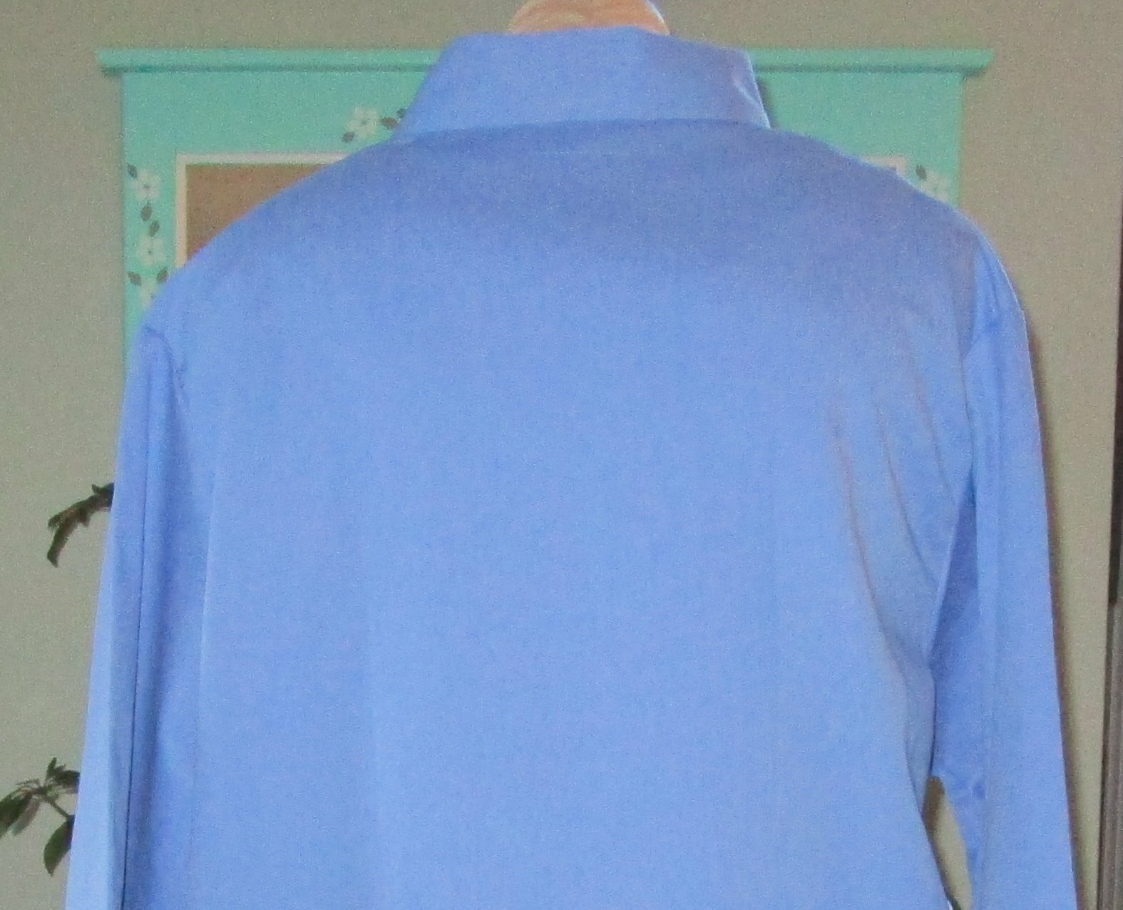 Picture 6 of 6