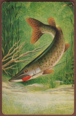 Spielkarten 1 Einzelkarte alt Angeln BASS GAMEFISH Angeln Fisch Kunst Bild
