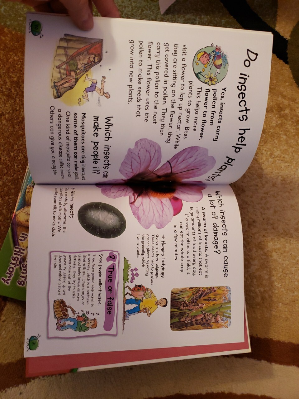 Picture 10 of 24