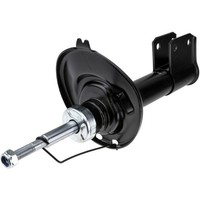 NTY StoßDäMpfer Gasdruck Vorne Links FüR CitroëN C4 II B7 1.6 Vti 120