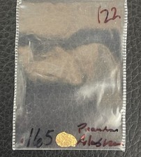 .165 Alaskan Gold Nuggets