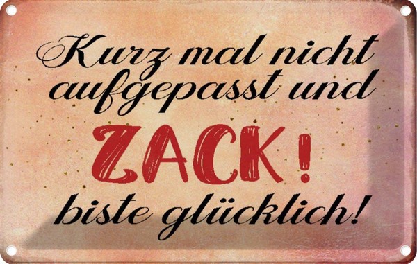Blechschild 20X30 Cm Nicht Aufgepasst Und GlüCklich Spruch Zitat Deko Geschenk M-image