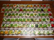 80 VINTAGE CARD SEED PACKET LOT COMPLETE SET NOS C1920S FREDONIA NEW YORK STATE