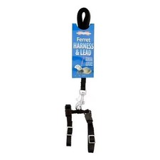 Marshall Pet Ferret Harness (w Snap Buckles) & Lead Set (4'). Black.