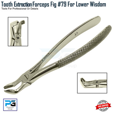 Dental Fig.79 Extraktionszange Zahnextraktion Obere & Untere Weisheit Chirurgisch