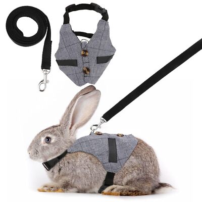 Rabbit Vest Harness Leash Set Formal Suit Style Size L | eBay