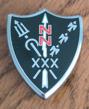 Insigne Militaire 30° Escadre de Chasse Fraisse A 872 /S24