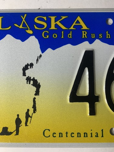 Rare Alaska License Plate - State Senate, Low #46 - Centennial - Mint Condition - Picture 4 of 6