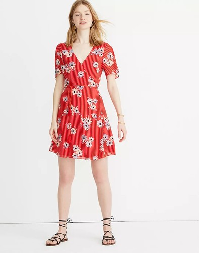 Faux Wrap In Daisy Society Floral Dress 