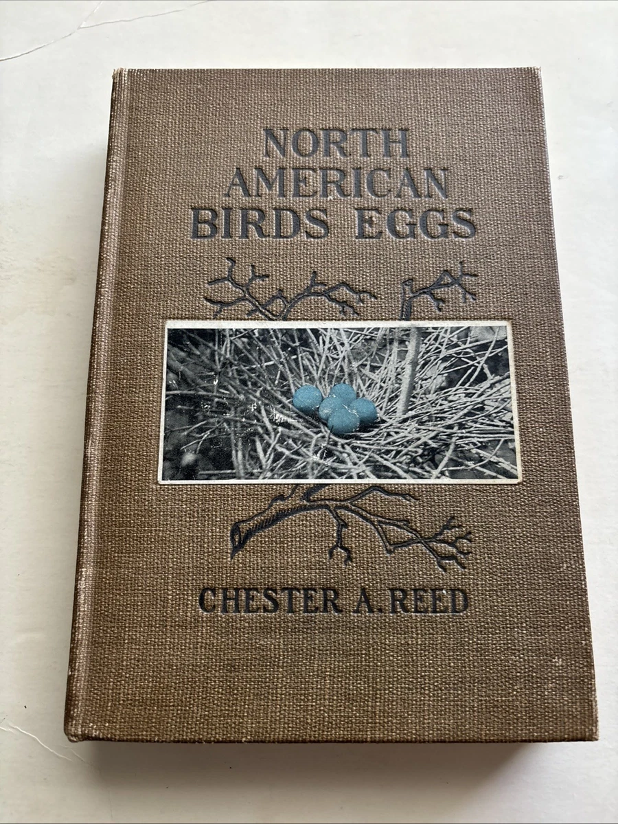 Ornithology Antiquarian & Collectible Books for sale | eBay