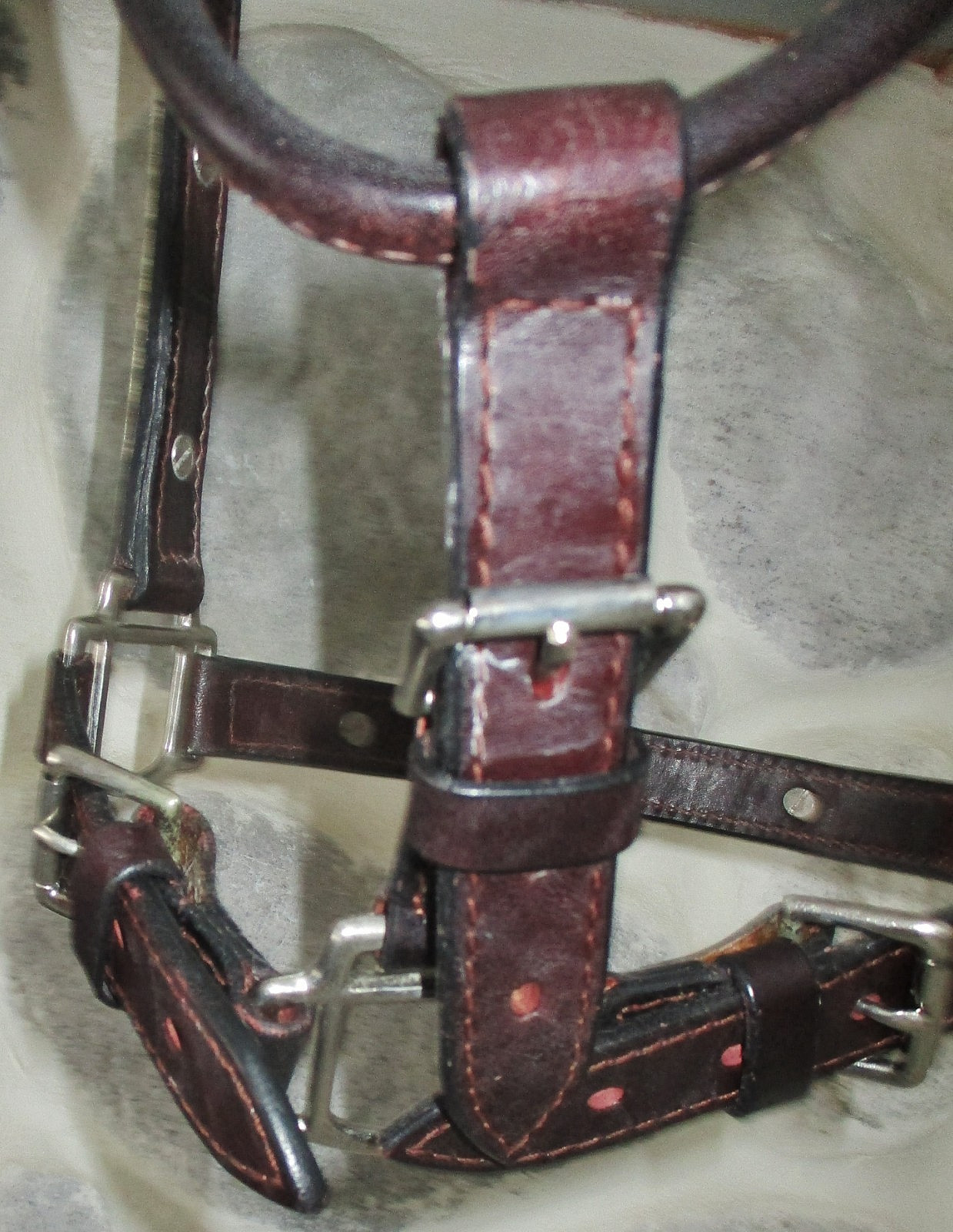 SCHNIEDERS S/S TACK  Dark Oil Silver TRISTAN MEXICO Accent Trim SHOW halter-NICE
