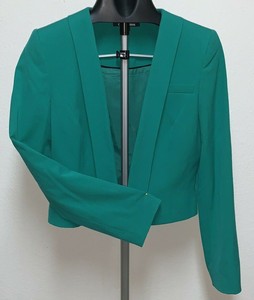 gianni bini sequin blazer