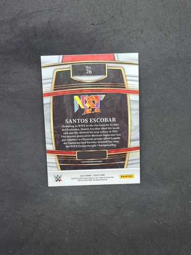 carte catch 2022 panini wwe select concourse prizm aux choix liste déroulante - Imagen 207 de 383