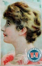 Wheeler & Wilson Sewing Machines Rotary Motion & Ball Bearings, Lovely Lady A1