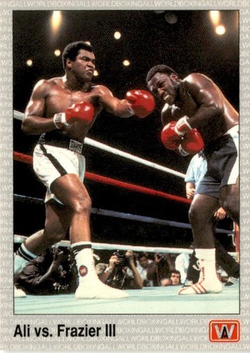 Vintage AW Sports 1991 All World Boxing Premier Edition Single Cards - You Pick - Picture 222 of 225