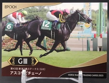 Ascoli Piceno / Thoroughbred Horse Racing Card TCG Japanese EPOCH 2024 Rare #72