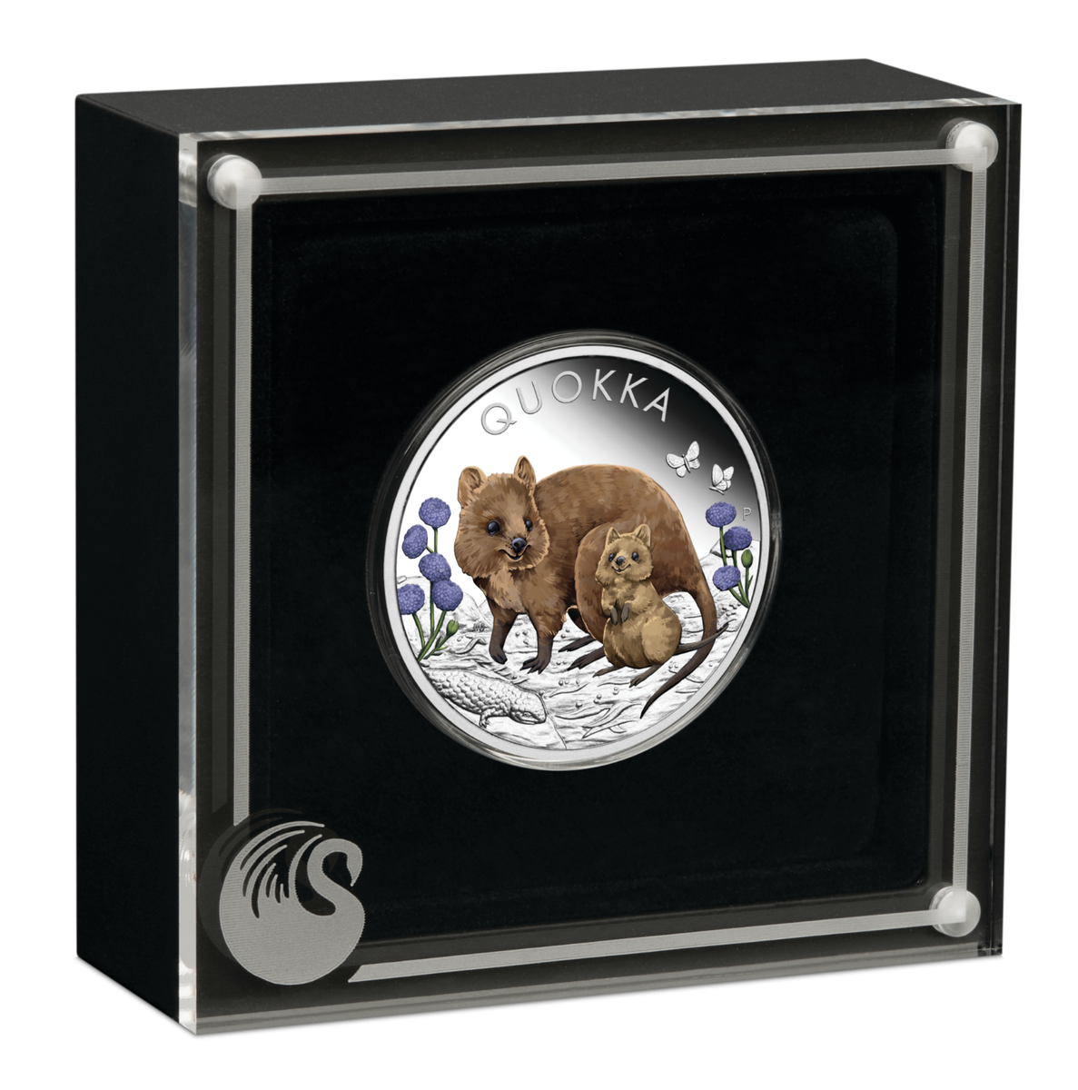 W1LD アンセプス マットゴールド / マットシルバーリム (Quokka) 2022 Australia Quokka 1oz .9999 Silver Proof Colored Coin | eBay