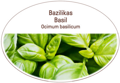 Bio Wild Basilikum Tee / getrocknet / heilende Eigenschaften / 1 Klasse / wirkt bakteriostatisch