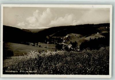39667617 - 8583 Bischofsgruen view into the Main Valley Bayreuth LKR