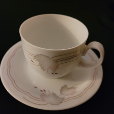 Kaffeeset Arzberg Liberty Swingline