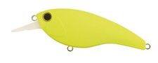 Zerek Nap Shad