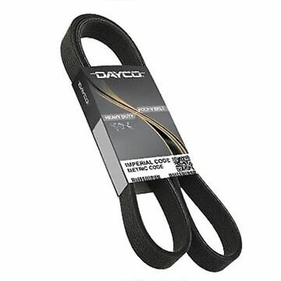 Dayco Poly Rib Gold Label 5081254 Serpentine Belt | High-Quality Auto Part, Univ