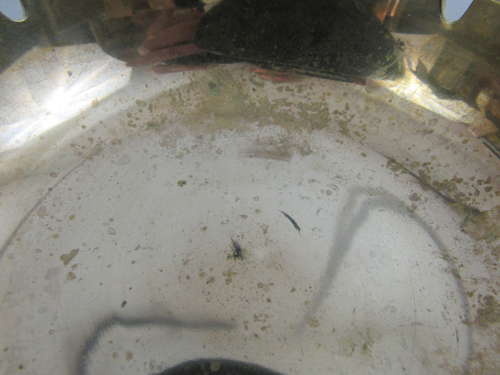 Picture 8 of 10
