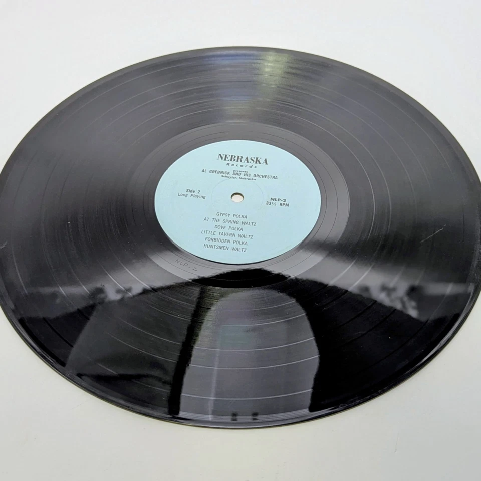 Al Grebnick And The Boys Play And Sing Bohemian Polkas And Waltzes~Quick Ship - Image 3 of 4