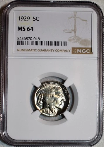NGC MS-64 1929-P Buffalo Nickel, Light, Steel-Blue Toning w/ Streaks of Gold!