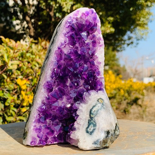 2,29 Pfund natürlicher Amethyst Cluster Quarz Kristall Druzy Geode Stein Reiki Heilung