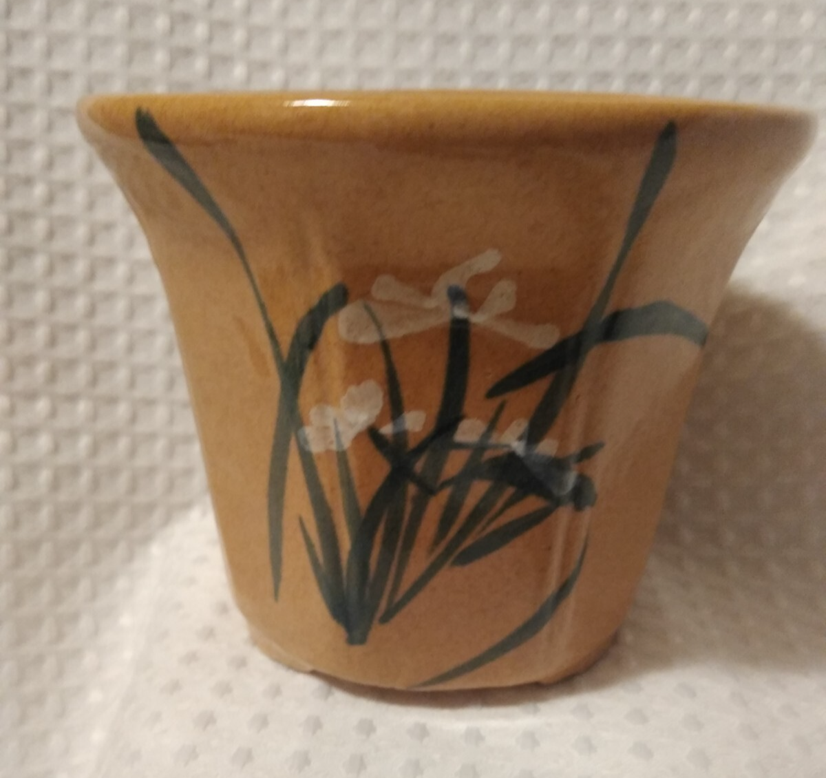 Picture 3 of 6