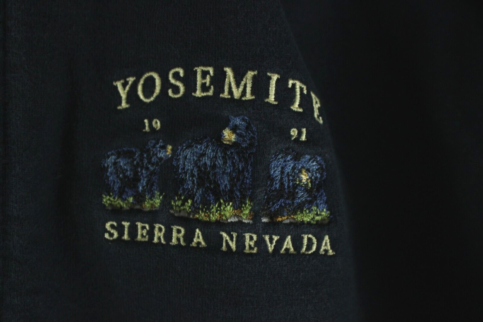 Yosemite Sierra Nevada Brandy Melville Blue Full Zip … Gem