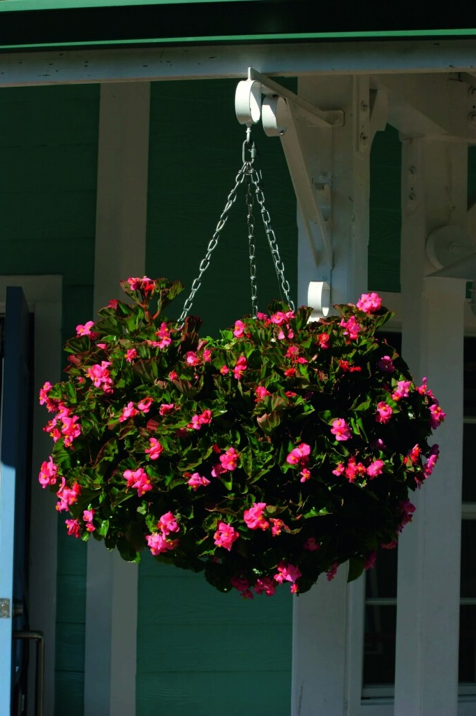 Hanging Basket Swivel Hooks By Ambassador New