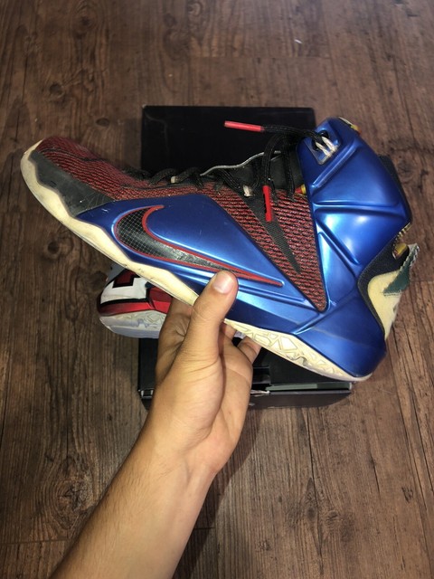 lebron 12 se
