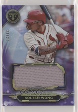 2019 Topps Triple Threads Single Jumbo Relics Amethyst 22/27 Kolten Wong pr9