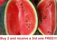 50+ SEEDS SUGAR BABY WATERMELON FRUIT HEIRLOOM NON-GMO MELON USA SELLER