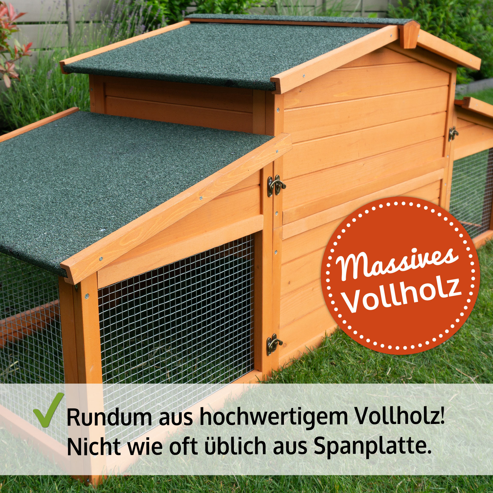 Bild 6 von 12