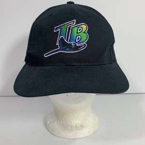 tampa bay rays dad hat
