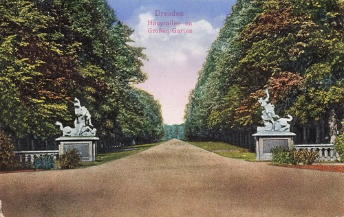 Hauptallee im Großen Garten in Dresden Sachsen Postkarte AK 1927 eBay