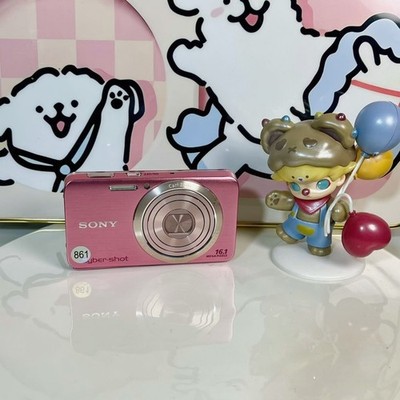 Sony Cyber-shot DSC-W630 16,1 MP Kompakte Digitalkamera Rosa 90%neu