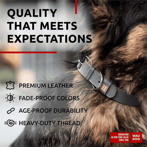 Long Lasting Leather Dog Collar for Large Dogs Medium & Small Dogs Adjustable - Picture 3 of 6