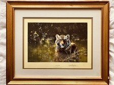 Cool Tiger By David Shepherd Signed Limited Edition Framed Print 24/1500