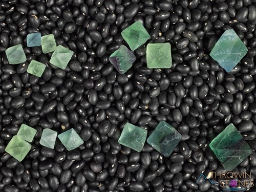 Raw Green FLUORITE Crystal Octahedron - Metaphysical Home Decor Stones, E0559 - Picture 8 of 10