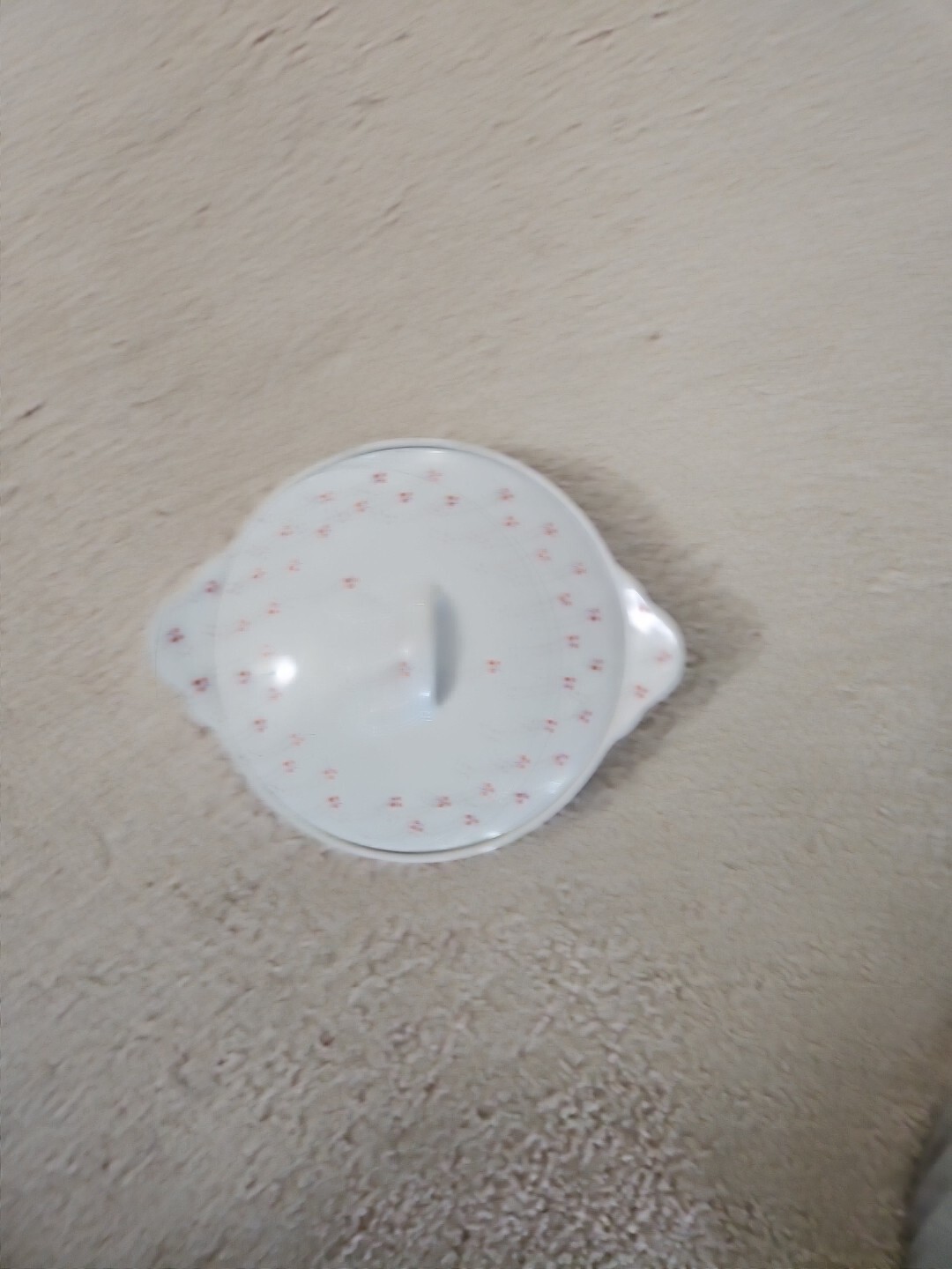 VTG Fairwinds Individual Soup Server & Lid Pattern FWD6 Red Berries Floral Top