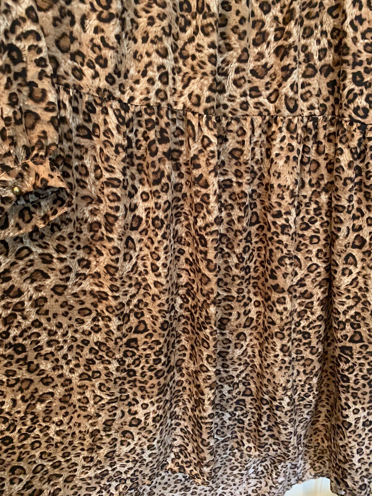 Picture 5 of 12