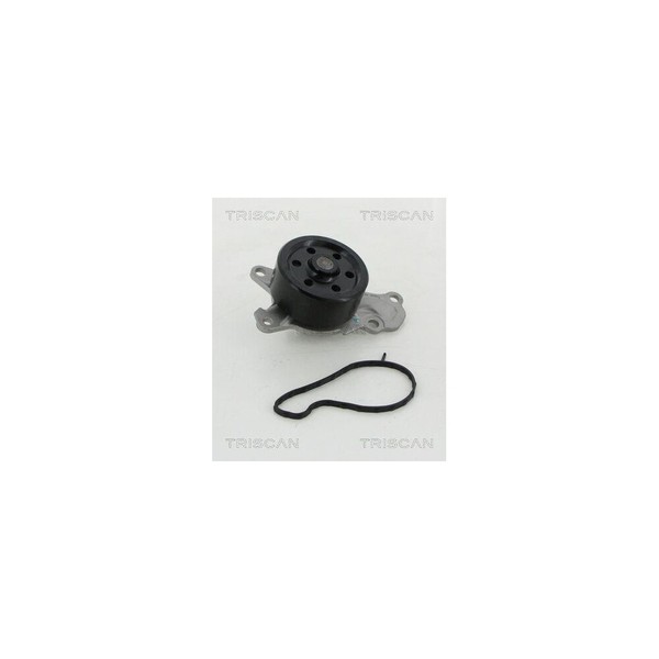 Wasserpumpe, MotorküHlung Triscan 8600 10039 FüR CitroËN Peugeot Toyota-image