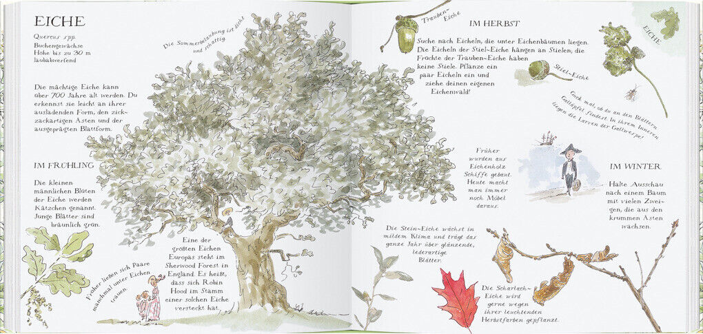 Thumbnail - Linde, Weide, Apfelbaum | Charlotte Voake, Kate Petty, Jo Elworthy |